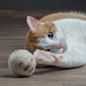 Large Felted Wool Cat Ball With Bell