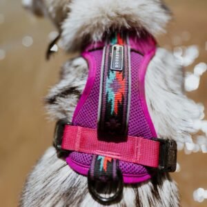 Harness