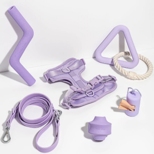 Harness Walk & Play Kit