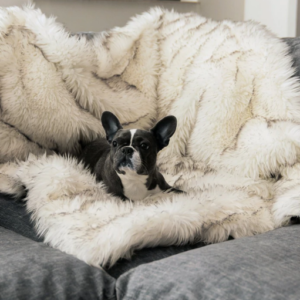 PupProtector™ Waterproof Throw Blanket - White