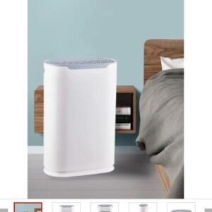 Timing Air Purifier With Four Fan Speeds