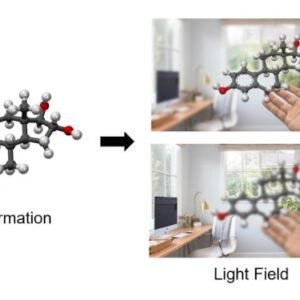 Light Field Generation Software