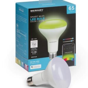 Smart Wi-Fi BR30 Bulb – Color