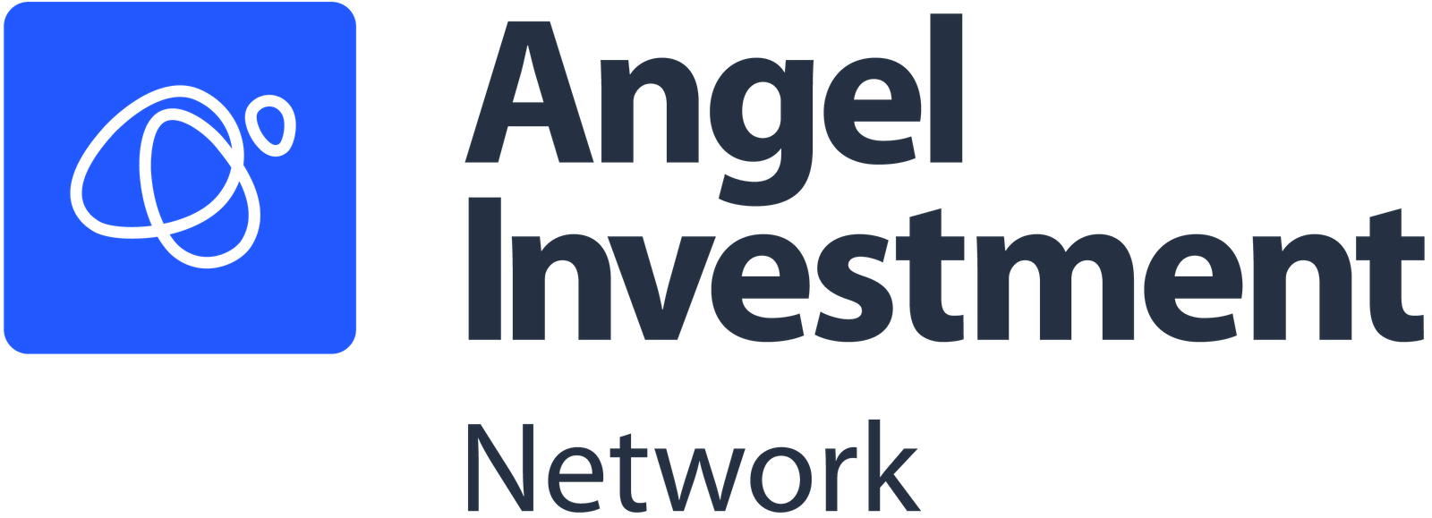 Angel Investment Network USA