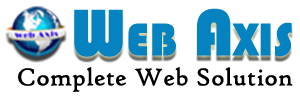 WebAxis SEO Company